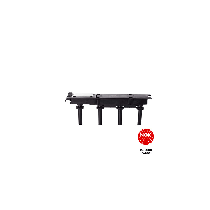 Ritė, uždegimas NGK 48146