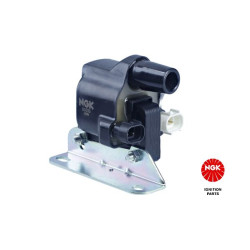 Ritė, uždegimas NGK 48148