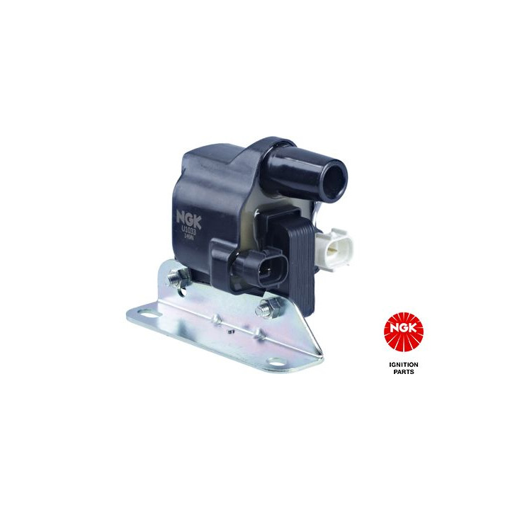 Ritė, uždegimas NGK 48148