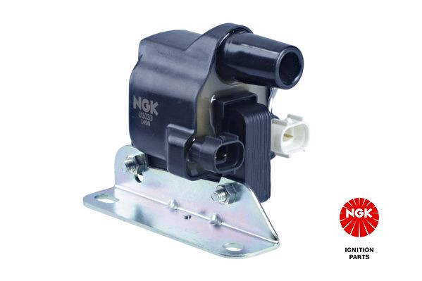 Ritė, uždegimas NGK 48148