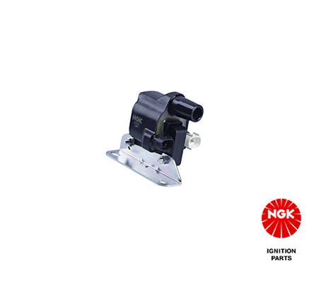 Ritė, uždegimas NGK 48148