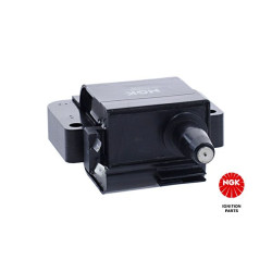 Ritė, uždegimas NGK 48152