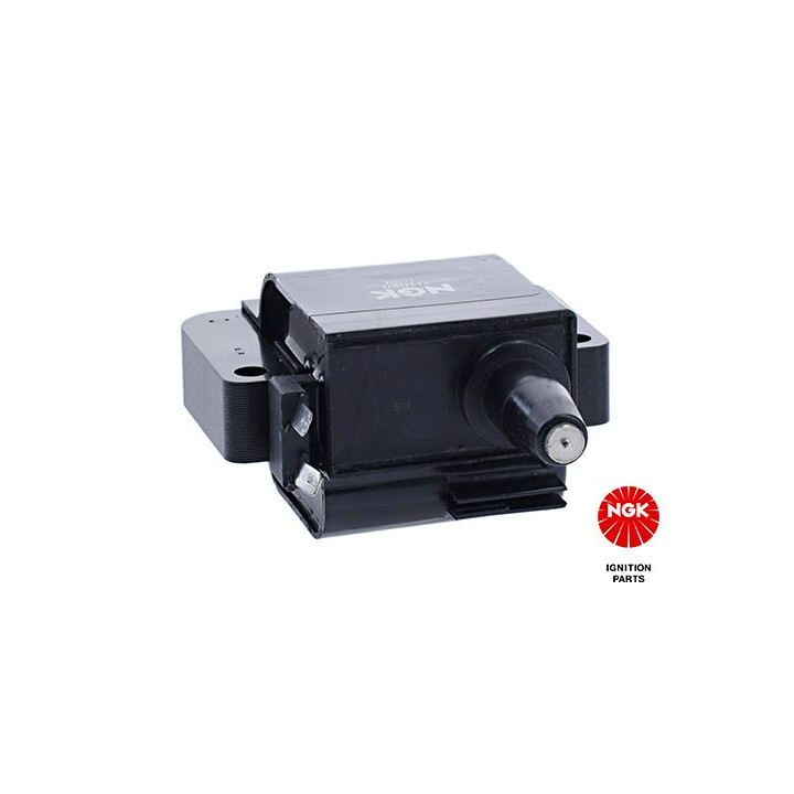 Ritė, uždegimas NGK 48152