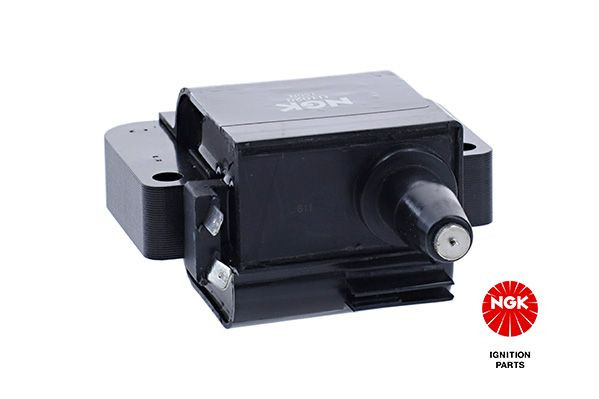 Ritė, uždegimas NGK 48152