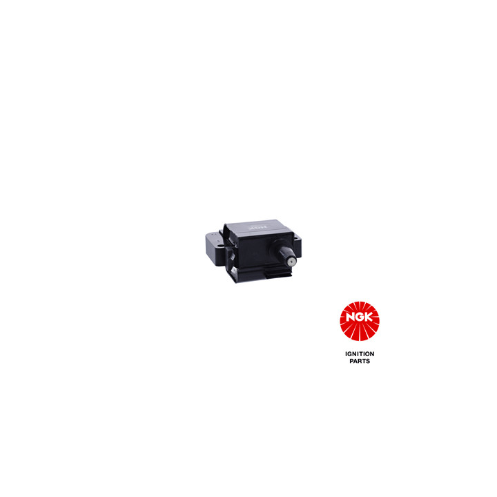 Ritė, uždegimas NGK 48152