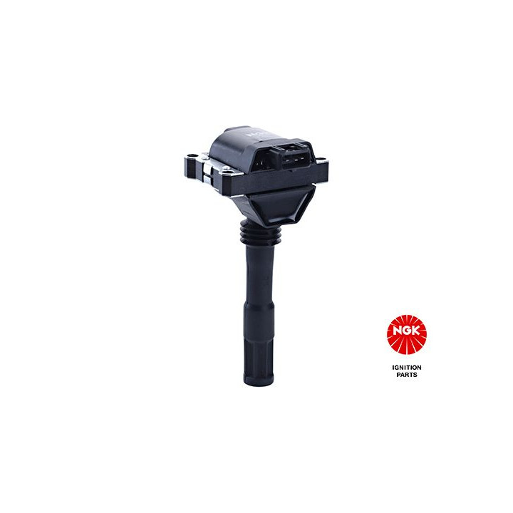 Ritė, uždegimas NGK 48154