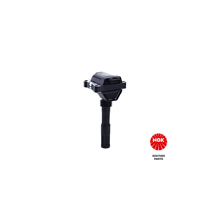 Ritė, uždegimas NGK 48154