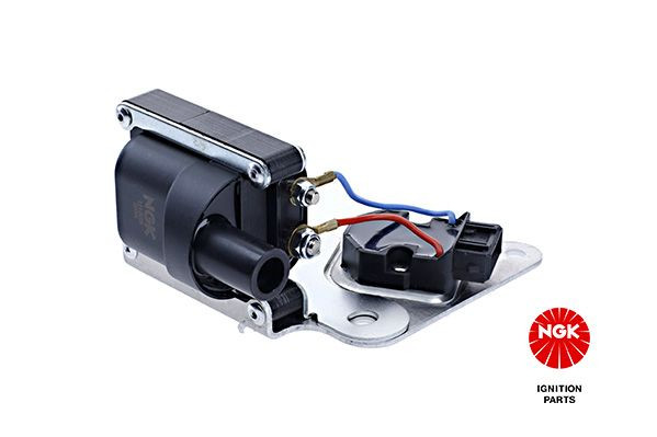 Ritė, uždegimas NGK 48156