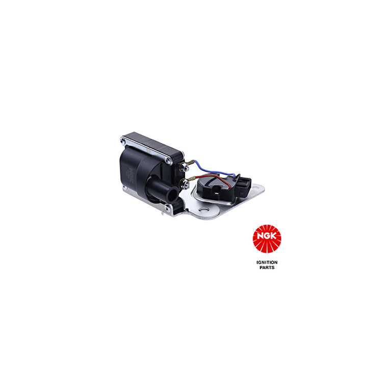 Ritė, uždegimas NGK 48156