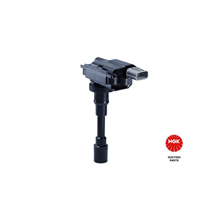 Ritė, uždegimas NGK 48157