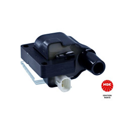 Ritė, uždegimas NGK 48158