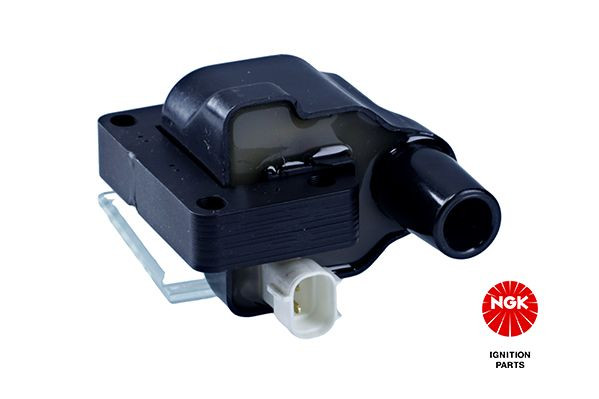 Ritė, uždegimas NGK 48158