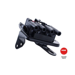 Ritė, uždegimas NGK 48160