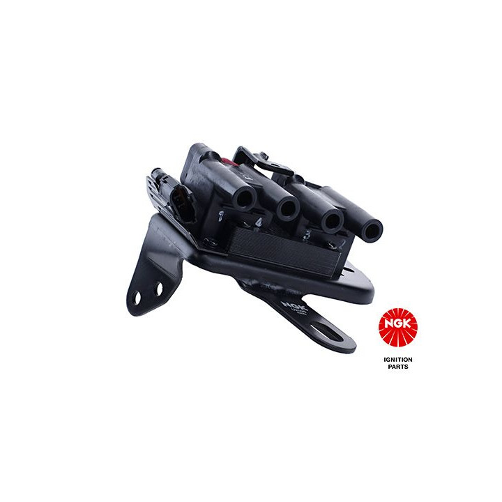 Ritė, uždegimas NGK 48160