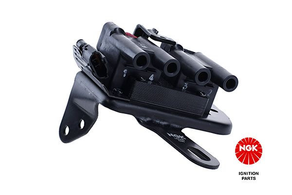 Ritė, uždegimas NGK 48160