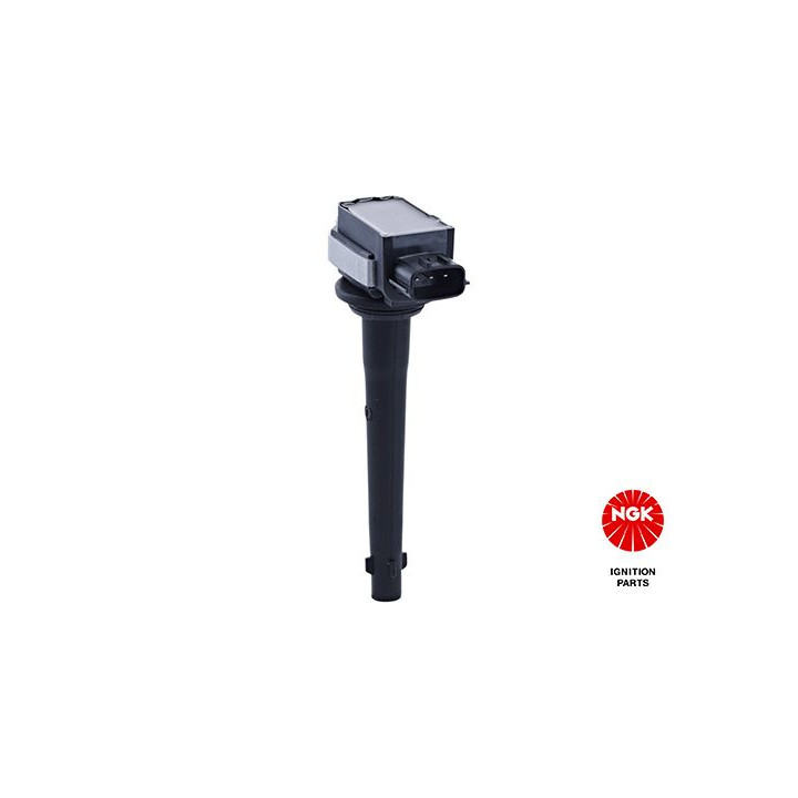 Ritė, uždegimas NGK 48162