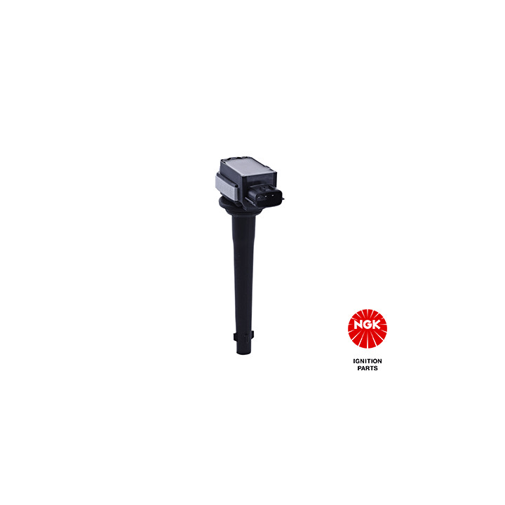 Ritė, uždegimas NGK 48162