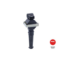 Ritė, uždegimas NGK 48163