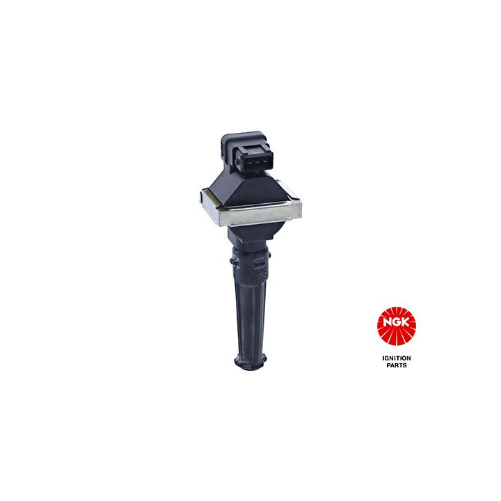 Ritė, uždegimas NGK 48163