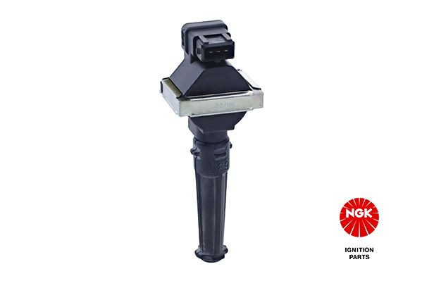 Ritė, uždegimas NGK 48163