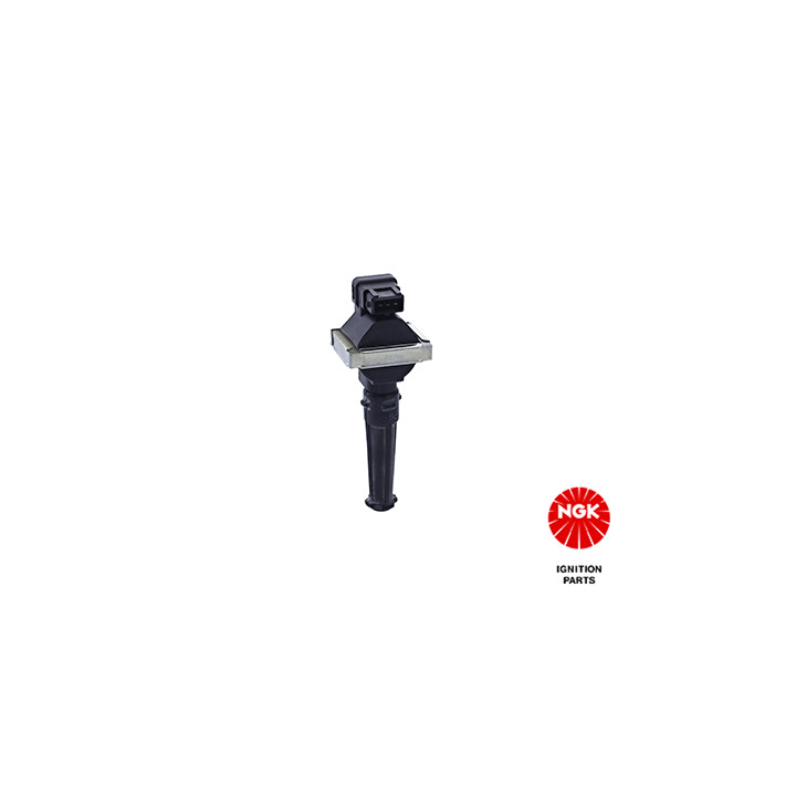 Ritė, uždegimas NGK 48163