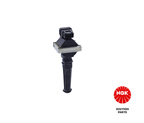 Ritė, uždegimas NGK 48163