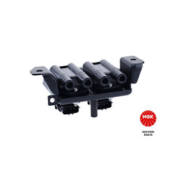 Ritė, uždegimas NGK 48167