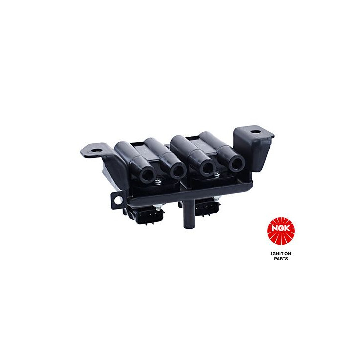 Ritė, uždegimas NGK 48167