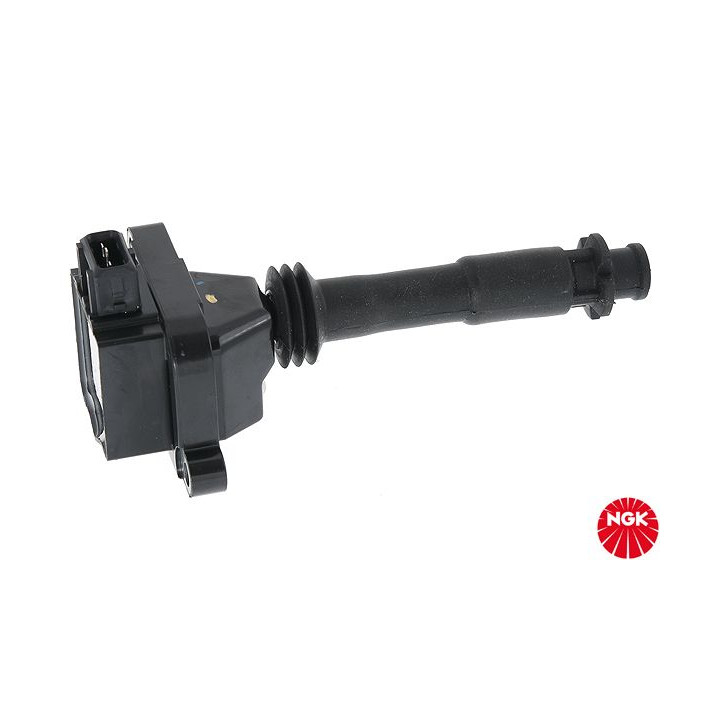 Ritė, uždegimas NGK 48168