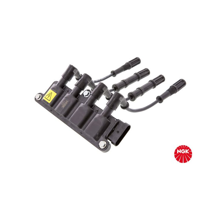 Ritė, uždegimas NGK 48169