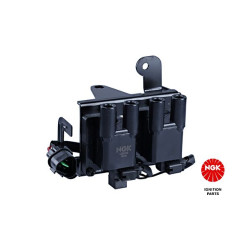 Ritė, uždegimas NGK 48170