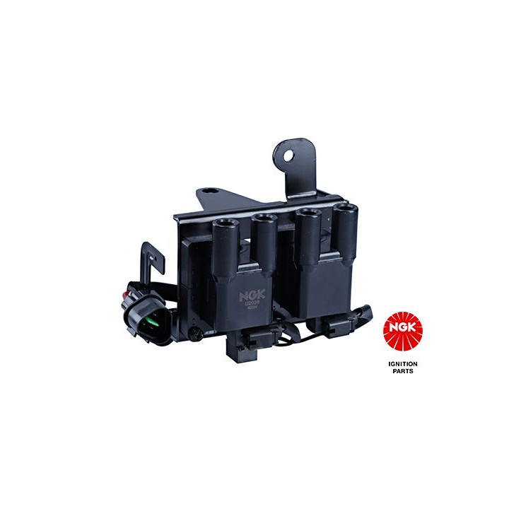 Ritė, uždegimas NGK 48170