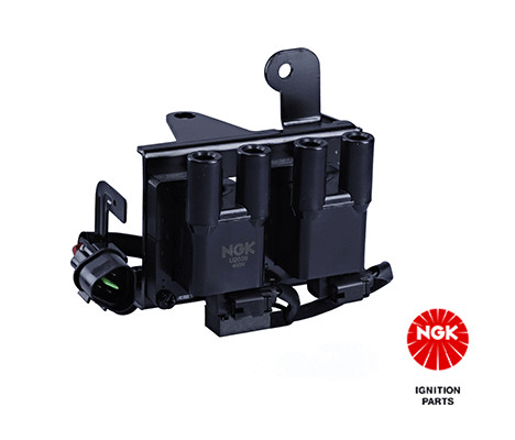 Ritė, uždegimas NGK 48170