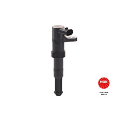 Ritė, uždegimas NGK 48172