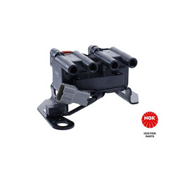 Ritė, uždegimas NGK 48173