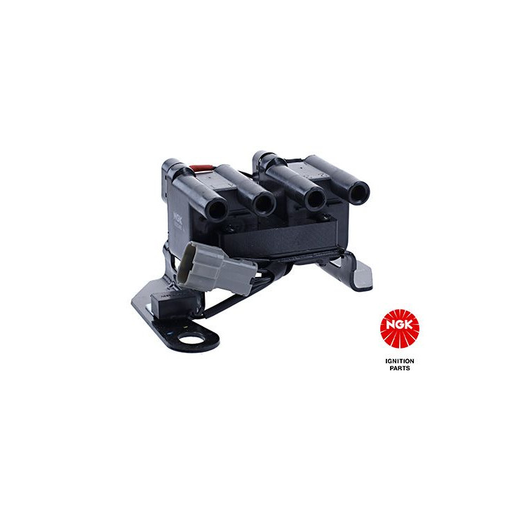 Ritė, uždegimas NGK 48173