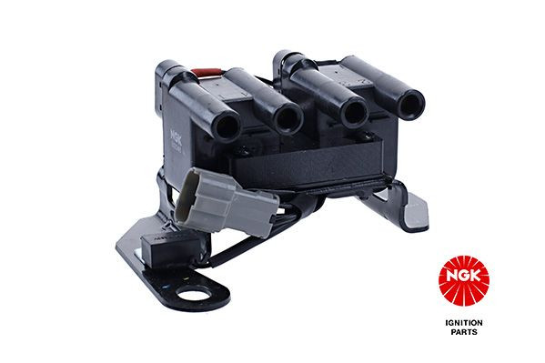 Ritė, uždegimas NGK 48173