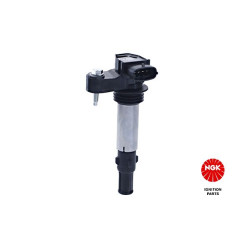 Ritė, uždegimas NGK 48174