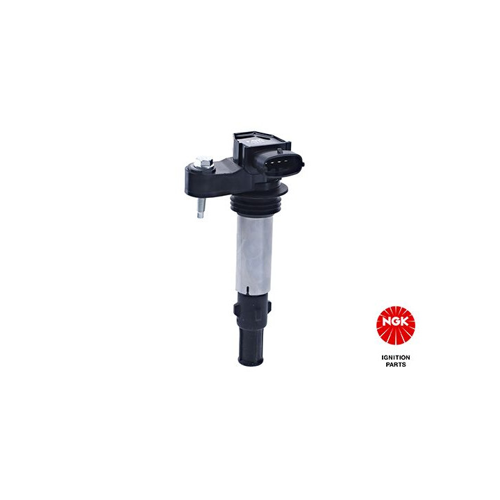 Ritė, uždegimas NGK 48174