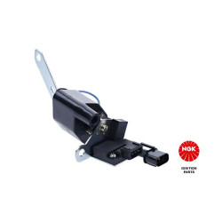 Ritė, uždegimas NGK 48176