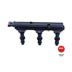 Ritė, uždegimas NGK 48178