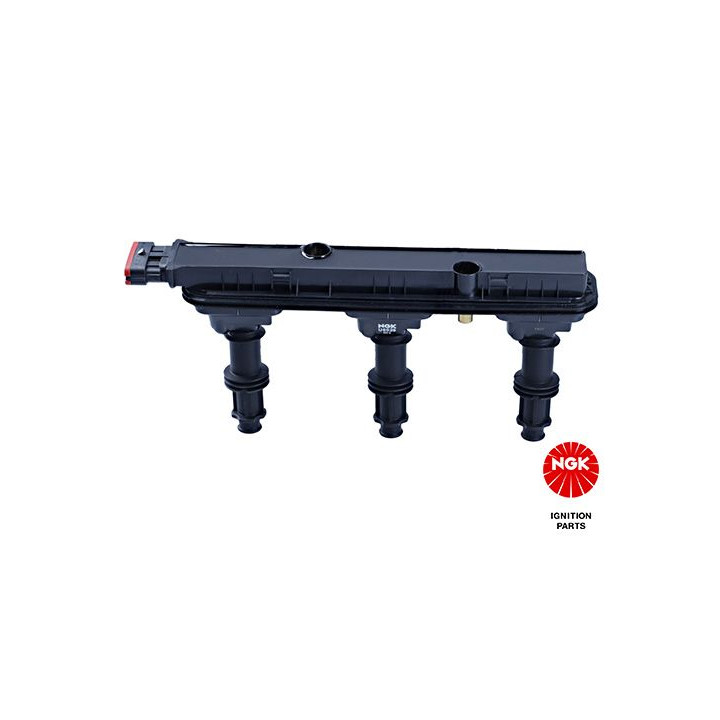 Ritė, uždegimas NGK 48178