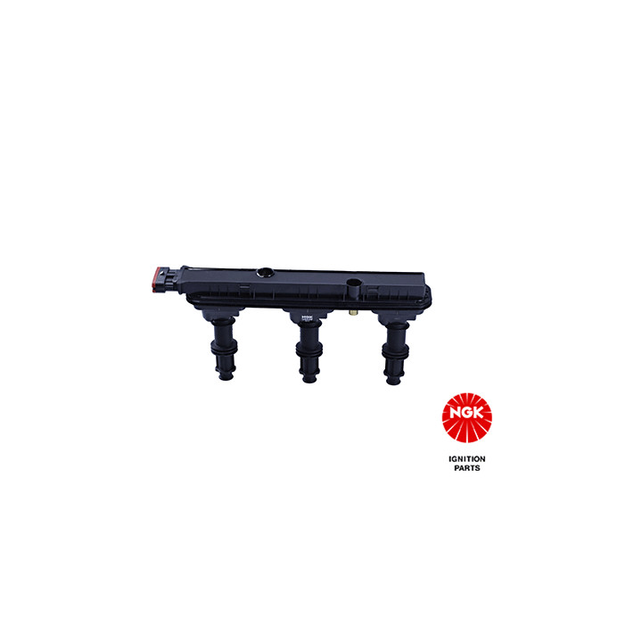 Ritė, uždegimas NGK 48178