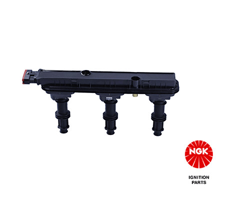 Ritė, uždegimas NGK 48178