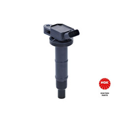 Ritė, uždegimas NGK 48184