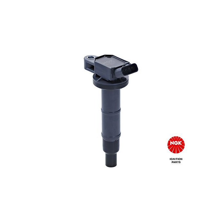 Ritė, uždegimas NGK 48184