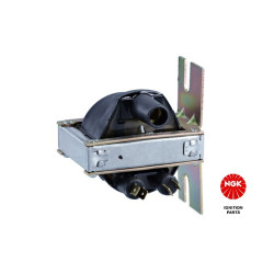 Ritė, uždegimas NGK 48186