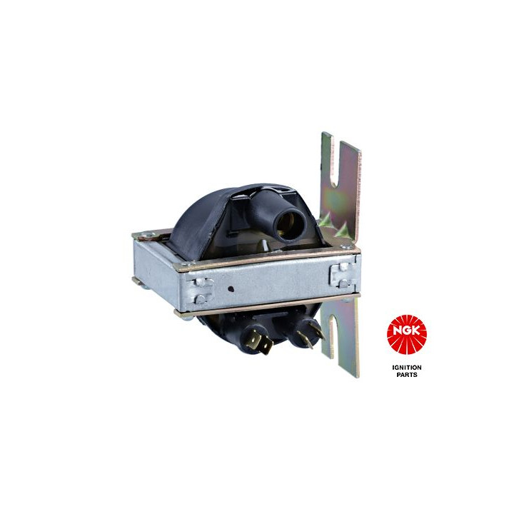 Ritė, uždegimas NGK 48186