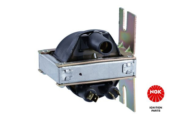 Ritė, uždegimas NGK 48186