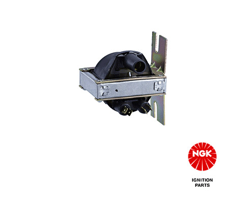 Ritė, uždegimas NGK 48186